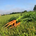 Parco vacanze Gizycko-zywki, Masuria Village, Caloroczne Z Widokiem Na Jezioro Zywki