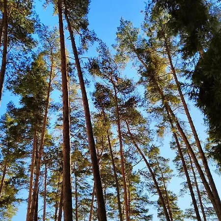Gizycko - Zywki, Masuria Village, Caloroczne Z Widokiem Na Jezioro Parque de vacaciones *