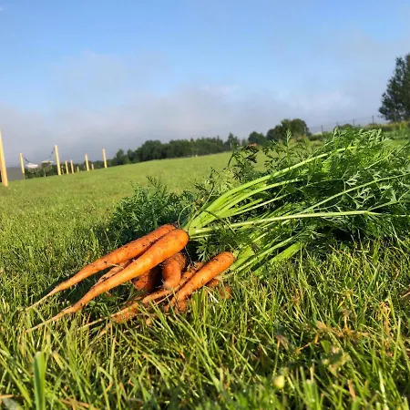 Parque de vacaciones Gizycko - Zywki, Masuria Village, Caloroczne Z Widokiem Na Jezioro Zywki