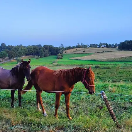 Gizycko - Zywki, Masuria Village, Caloroczne Z Widokiem Na Jezioro * Zywki