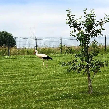 Gizycko - Zywki, Masuria Village, Caloroczne Z Widokiem Na Jezioro Holiday park Zywki