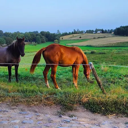 Gizycko - Zywki, Masuria Village, Caloroczne Z Widokiem Na Jezioro *
