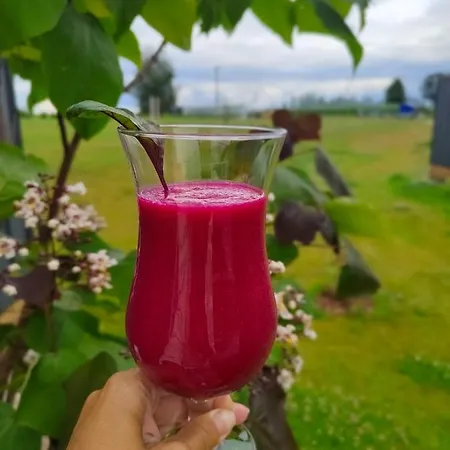 Ferienpark Gizycko-zywki, Masuria Village, Caloroczne Z Widokiem Na Jezioro Zywki