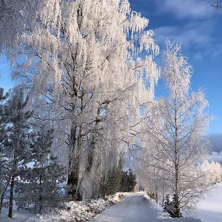 Gizycko - Zywki, Masuria Village, Caloroczne Z Widokiem Na Jezioro Parque de vacaciones
