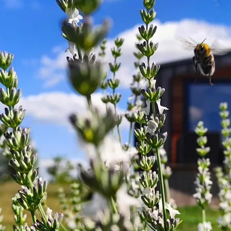 Gizycko - Zywki, Masuria Village, Caloroczne Z Widokiem Na Jezioro Parque de vacaciones *
